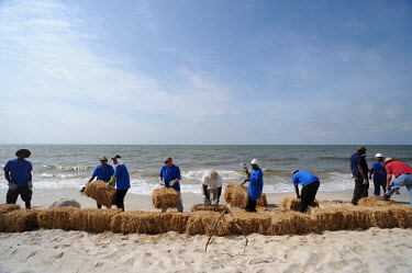 BP-hired workers bail straw into barriers along Dauphin Island's beaches Deepwater Horizon,BP,BP oil spill