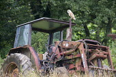 Barn owl perched on derelict tractor Chordates,Chordata,Tytonidae,Barn Owls,Owls,Strigiformes,Aves,Birds,Africa,alba,Australia,Asia,Urban,Europe,Tyto,Species of Conservation Concern,Carnivorous,Agricultural,Animalia,Wildlife and Conserva