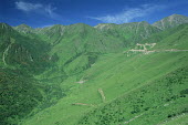 Yak-grazed alpine meadows