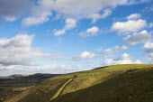 South Downs, looking east from Truleigh Hill