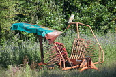 Barn owl perched on farm machinery Chordates,Chordata,Tytonidae,Barn Owls,Owls,Strigiformes,Aves,Birds,Africa,alba,Australia,Asia,Urban,Europe,Tyto,Species of Conservation Concern,Carnivorous,Agricultural,Animalia,Wildlife and Conserva