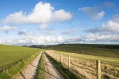 Track on South Downs leading towards Devil's Dyke