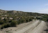 Spanish greenish black-tip habitat of low hills with sparse vegetation Insecta,Grassland,Scrub,Animalia,Pieridae,Terrestrial,Euchloe,Lepidoptera,IUCN Red List,Arthropoda,Rock,Vulnerable,Europe