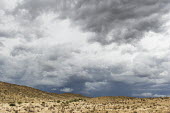 Scrub land habitat,dry,rocky,scrubland,scrub,inhospitable,rock,south africa,africa,landscape,arid,habitats,sky,clouds