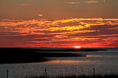 Salt marsh sunset Galveston Bay saltmarsh,sunset,clouds,saltmarsh,marsh