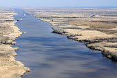 Aerial landscape view of coastal wetlands wetlands,aerial,landscape,water,habitat