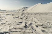 Light & Land David Wrangborg Svalbard,winter,Arctic,ice,snow,structure,abstract,pattern,mountains,white,light,landscape,Winter