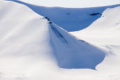 Light & Land Arctic,shadow,snow,Svalbard,winter,white,sbstract,landscape,mountains,Shadow,Snow,Winter