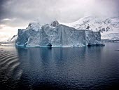 Iceberg along the Antarctic coast ice,iceberg,Antarctica,ice cap,ice caps,polar,polar ice,water,sea,ocean,oceans,marine,coast,coastal,coastline,southern ocean,blue,white,atmosphere,landscape,habitat,winter,snow,cold,freezing,Iceberg