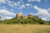 Savannah landscape, Africa