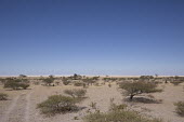 Arid landscape - Botswana, Africa landscape